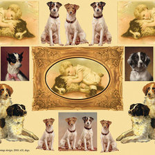 Схема вышивки «Собачки.»