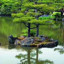 Японський сад