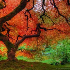 Схема вышивки «Японський сад»