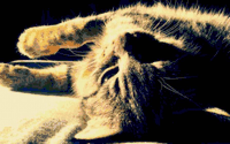 котЭ - предпросмотр