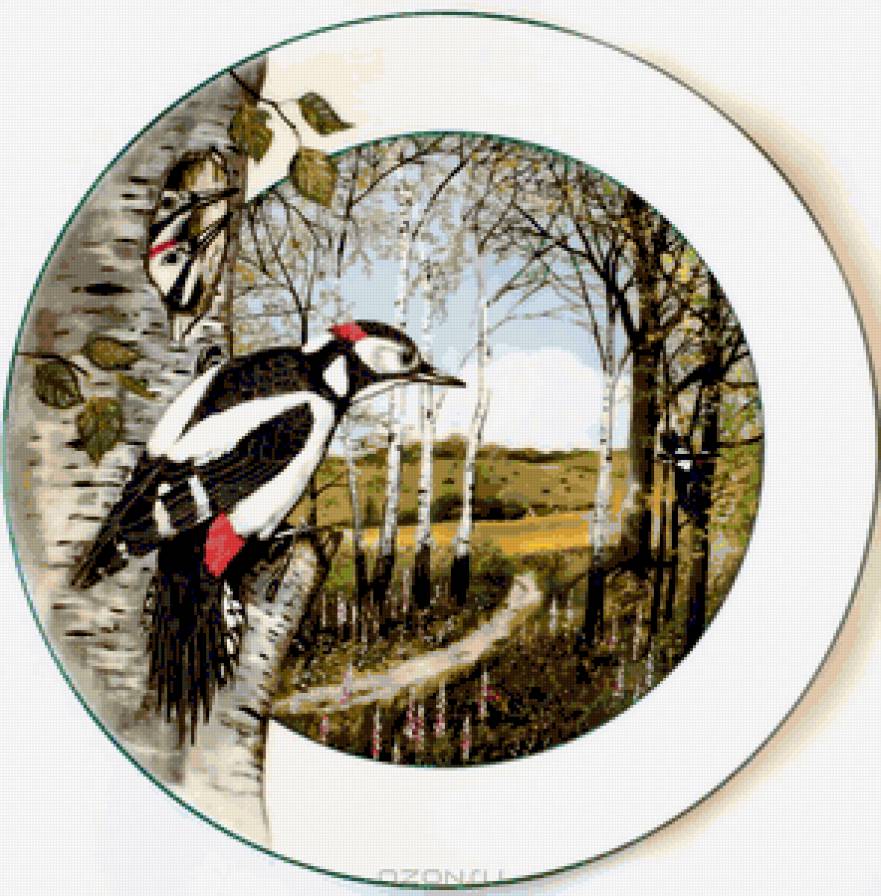 панно "Дятлы" - птицы, березки, гнездо, дятлы, природа, птенчики, панно, красота - предпросмотр