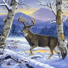 Схема вышивки «0107»