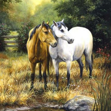 Схема вышивки «0108»