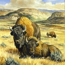 Схема вышивки «0109»