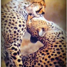 Схема вышивки «Большие кошки»