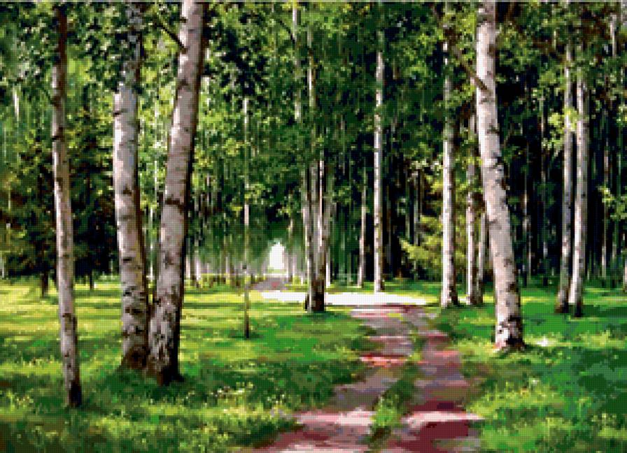 Березовая роща - современные художники, щербаков о. - предпросмотр