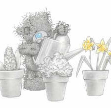 Схема вышивки «№376001»