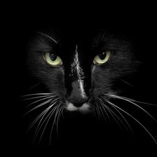 Схема вышивки «Портрет "Друга"»