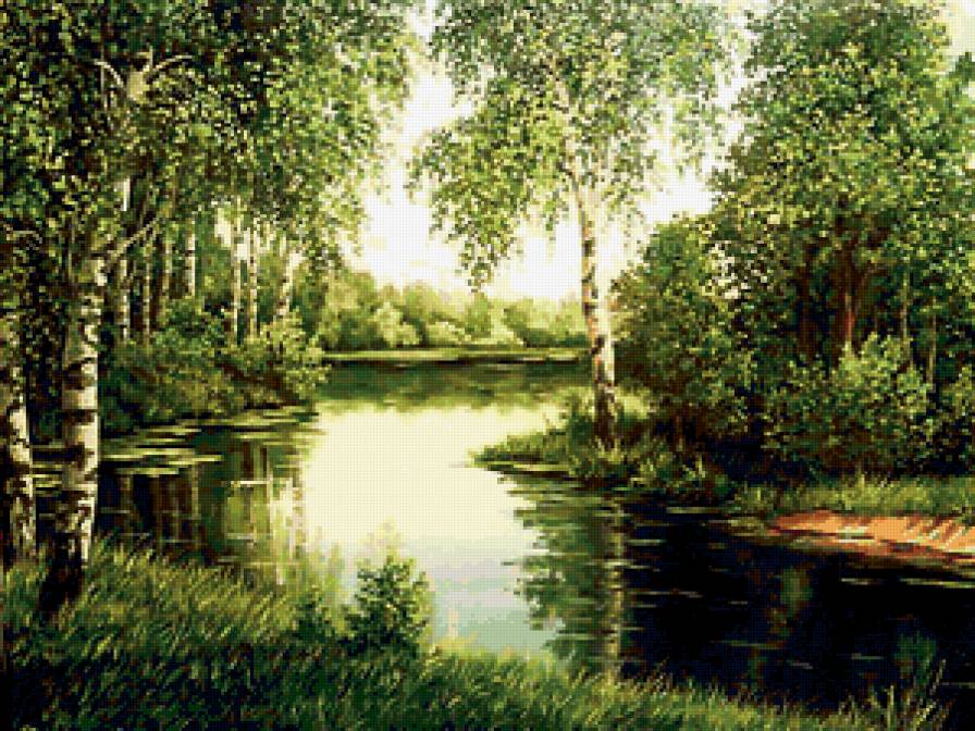 Лесная речка - пейзаж, березы, речка - предпросмотр