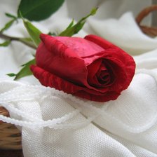 Схема вышивки «№376546»