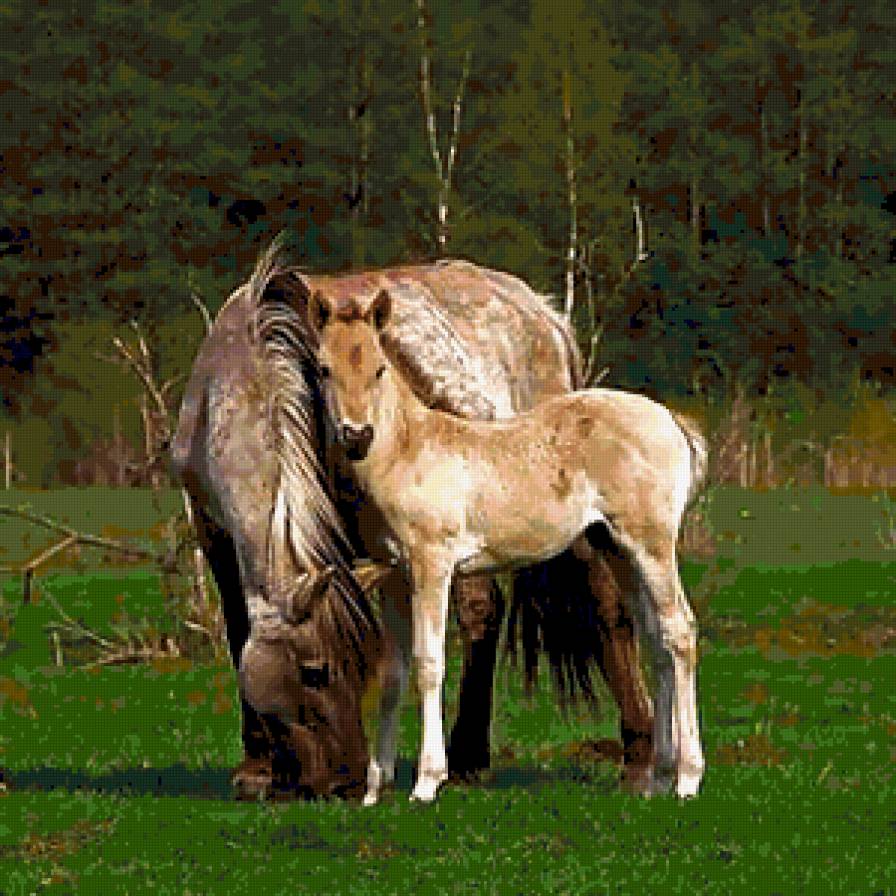 №376549 - предпросмотр