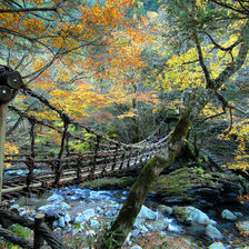 Схема вышивки «Пейзаж»