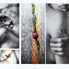 Схема вышивки «божья коровка»