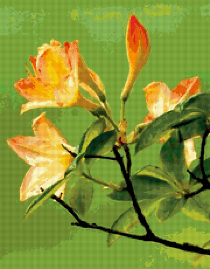 цветущее дерево - красота, природа, цветы, веточка - предпросмотр