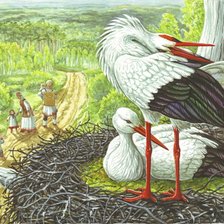 Схема вышивки «гнездо аиста»