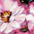 Предпросмотр схемы вышивки «цветы» (№376753)