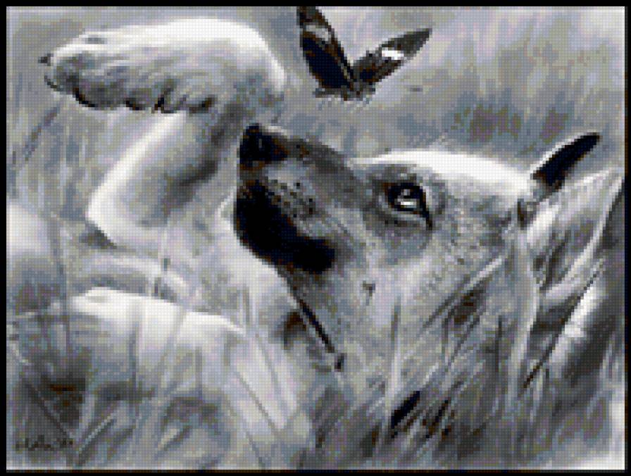 на лугу - щенок, кутенок, собака - предпросмотр