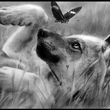 Схема вышивки «на лугу»