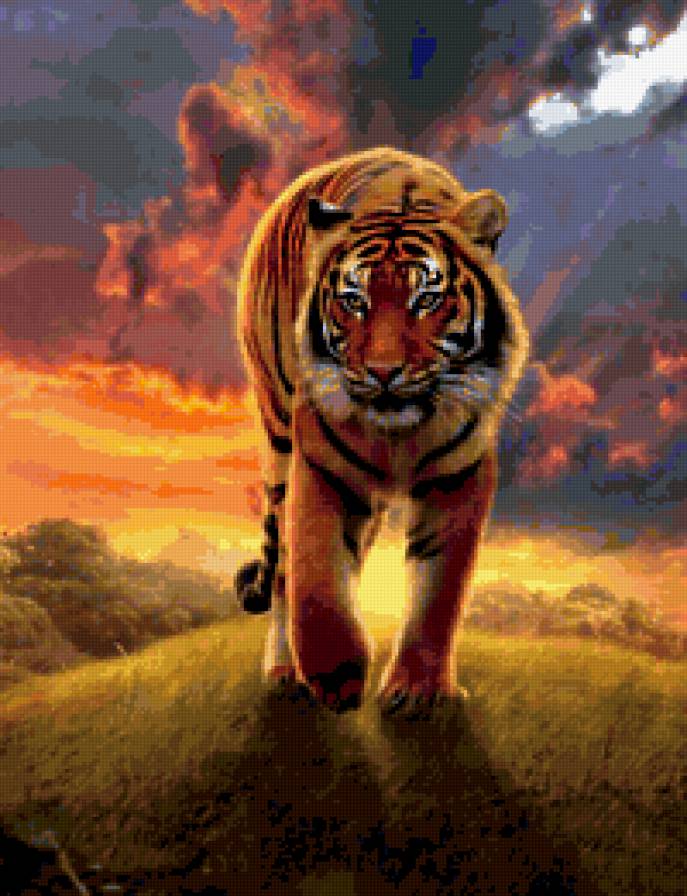 тигр - животные, тигр - предпросмотр