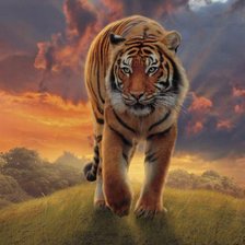 Схема вышивки «тигр»