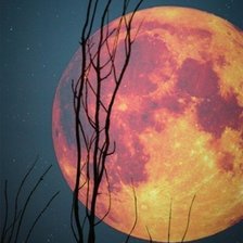 Схема вышивки «Луна»