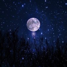 Схема вышивки «Луна»