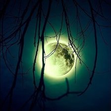 Схема вышивки «Луна»