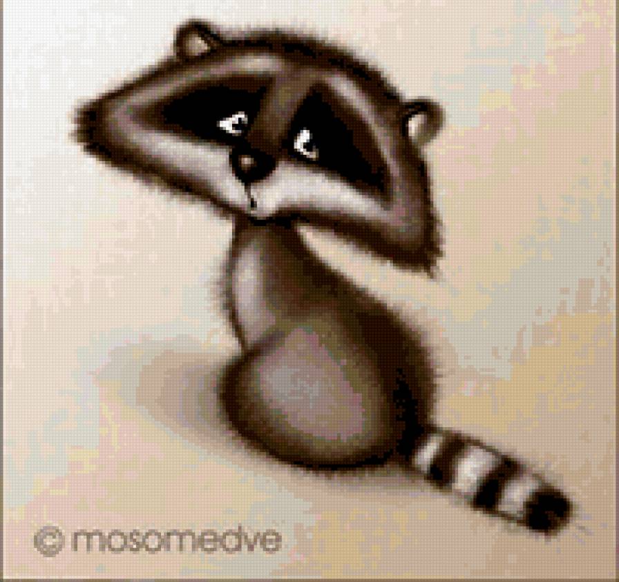 енот - животные - предпросмотр