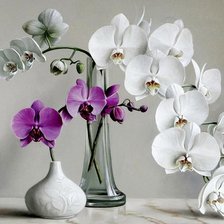 Схема вышивки «№376903»