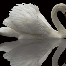 Схема вышивки «№376912»