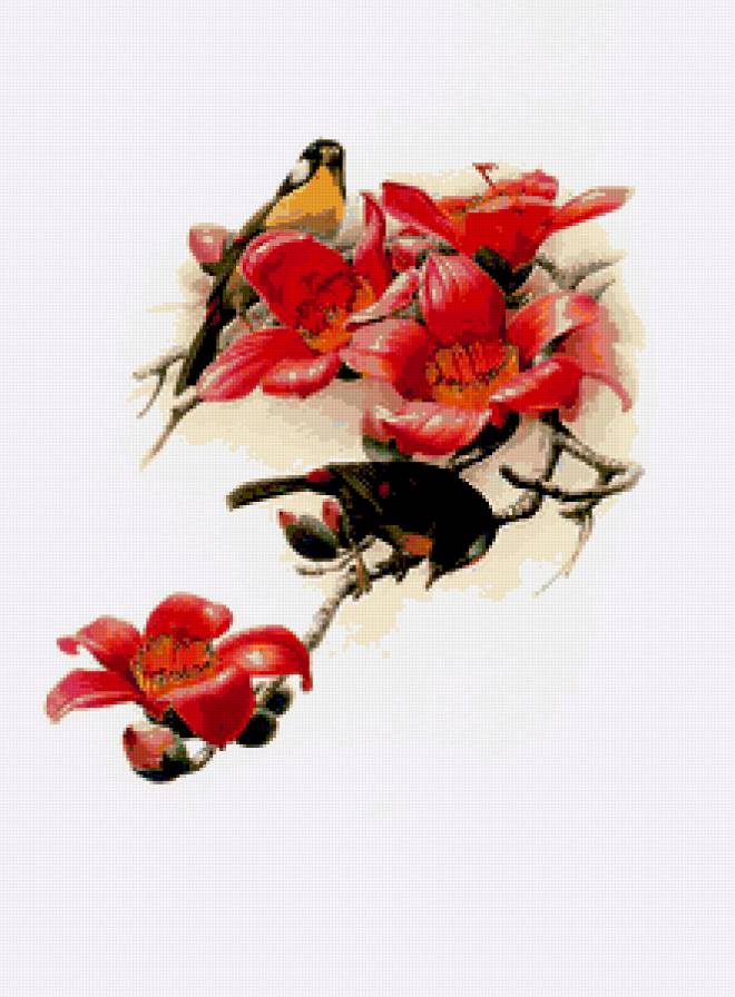 Птицы - предпросмотр