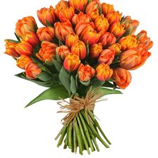 Схема вышивки «№376941»