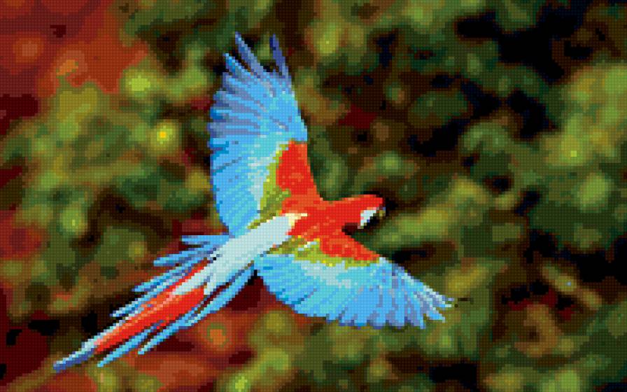 полёт - птица, попугай, полет - предпросмотр