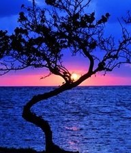 Схема вышивки «ночной пейзаж»