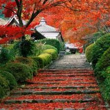 Схема вышивки «восточные картины»