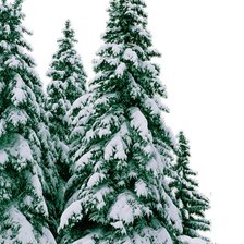 Схема вышивки «№377075»