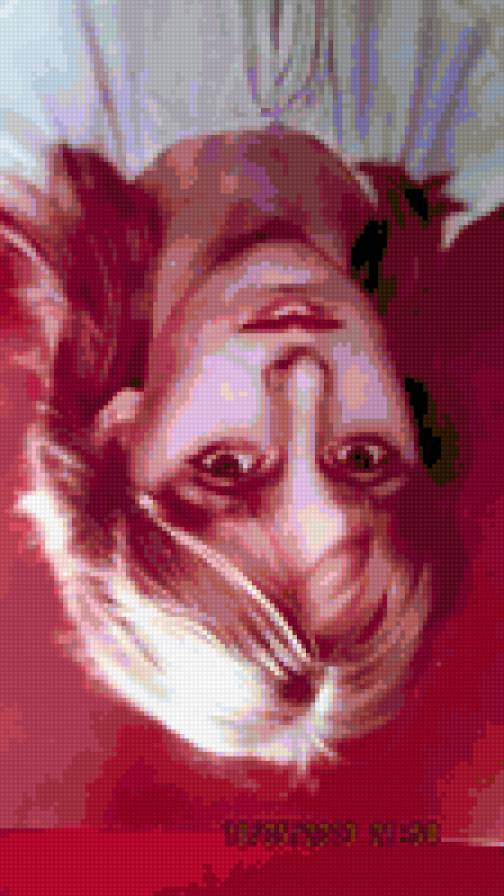 nataversh - предпросмотр