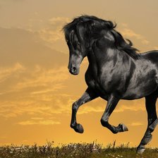 Схема вышивки «Скакун»