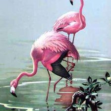 Схема вышивки «розовый фламинго»