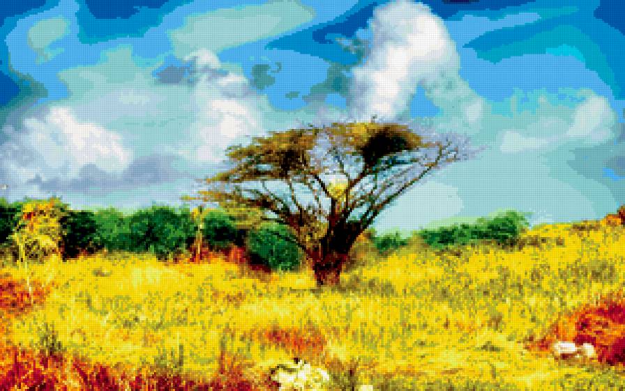 оазис - предпросмотр