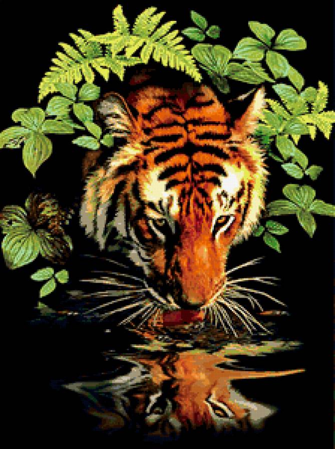 на водопое - тигр, хищник, природа - предпросмотр