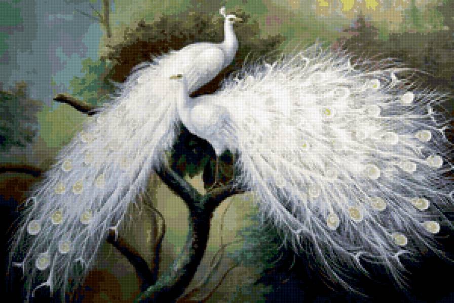 Белые птицы - предпросмотр