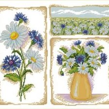 Ромашки_волошки