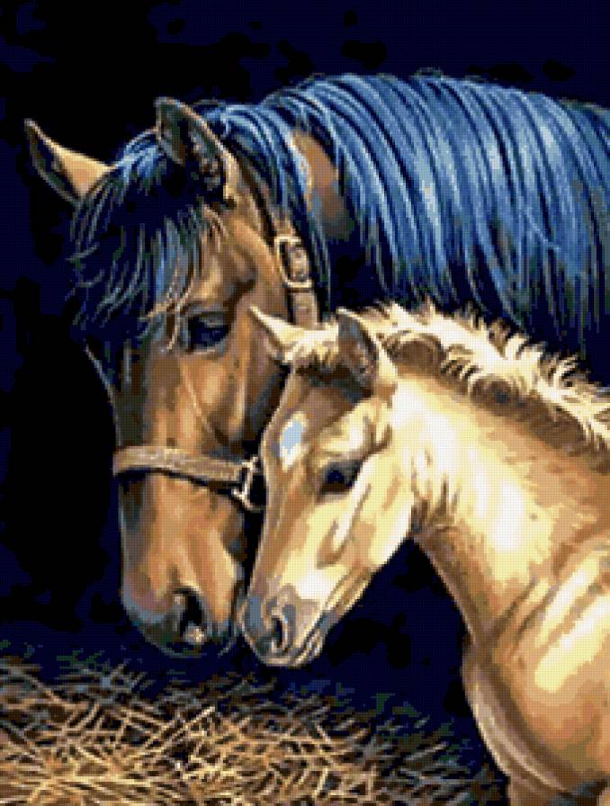 лошадки - предпросмотр