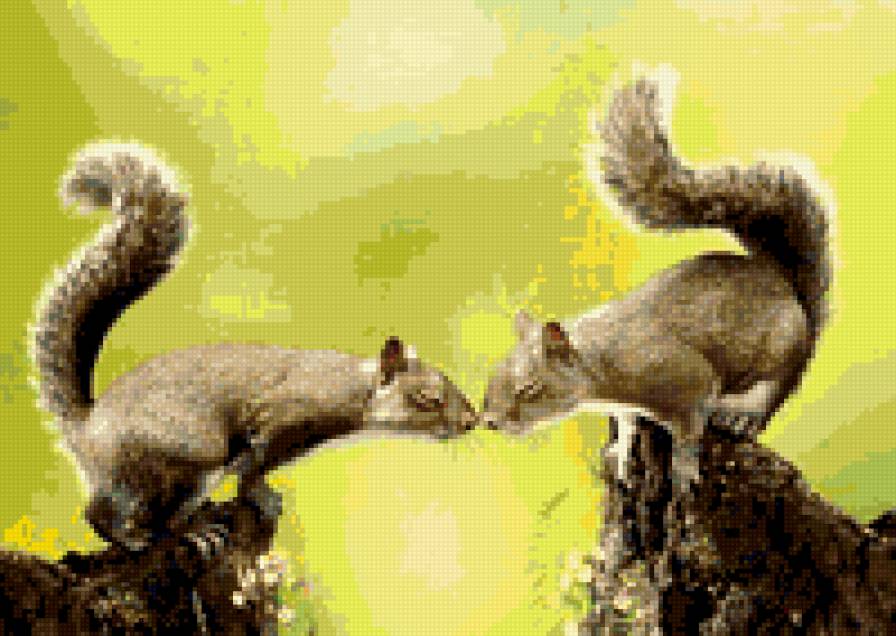 зелебоба - предпросмотр