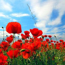 Небесный свод