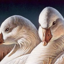 Схема вышивки «№377557»