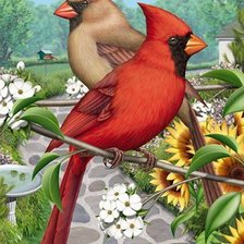 Схема вышивки «№377558»