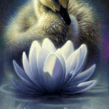 Схема вышивки «№377559»