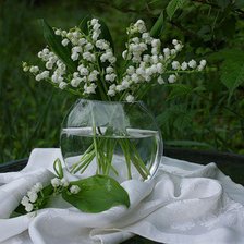 Схема вышивки «ландыши»